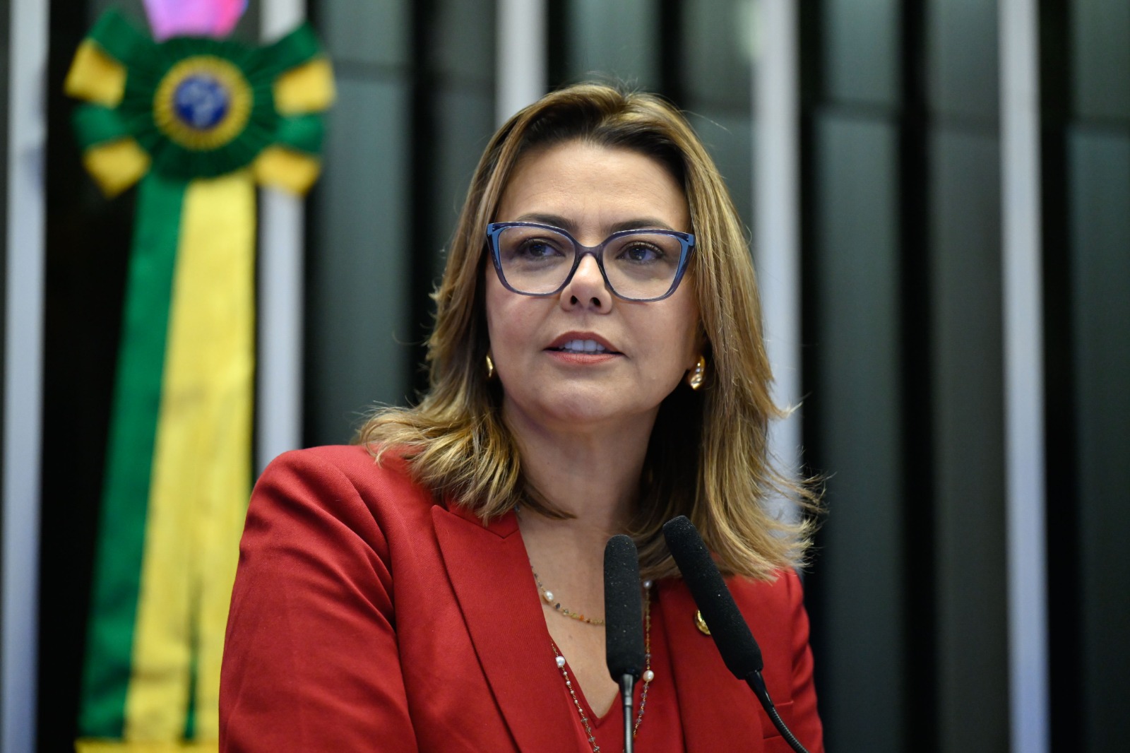PDT-DF apresenta pré-candidatos para as eleições de 2026